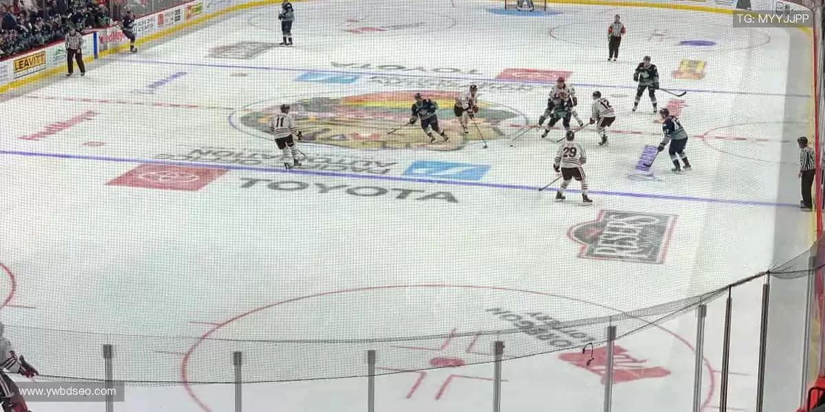 📱 指尖轻点,全球赛事实时掌控!🎥